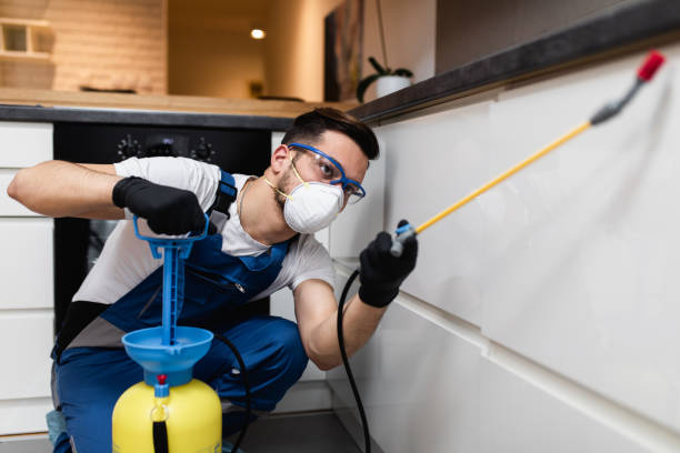 Best Affordable Pest Control Services  in Columbus, OH