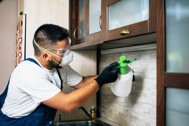 Best Affordable Pest Control Services  in Columbus, OH