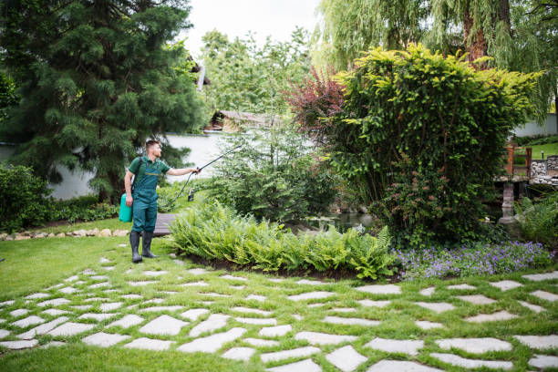 Best Wasp Removal Services  in Columbus, OH