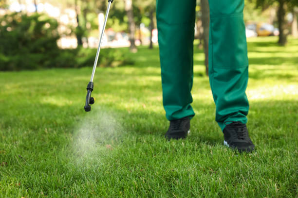 Reliable Columbus, OH Pest Control Solutions