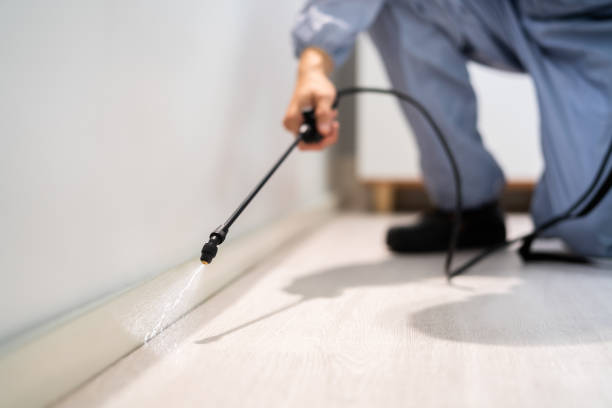 Pest Control for Restaurants in Columbus, OH