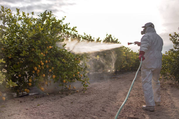 Best Ant Control Services  in Columbus, OH