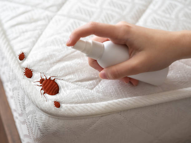 Best Residential Pest Control  in Columbus, OH