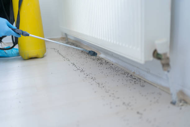 Best Cockroach Control Services  in Columbus, OH