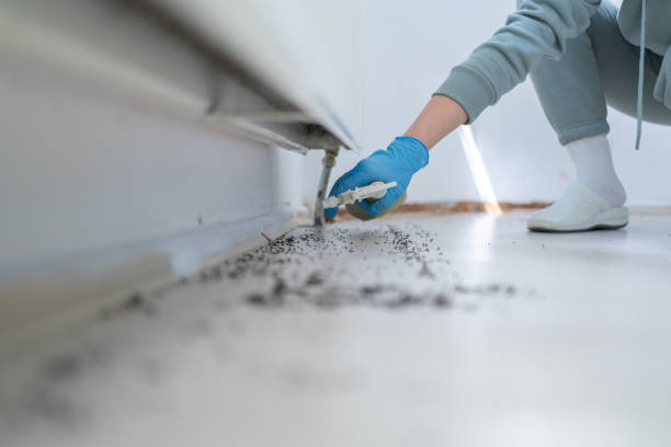 Best Emergency Pest Control  in Columbus, OH